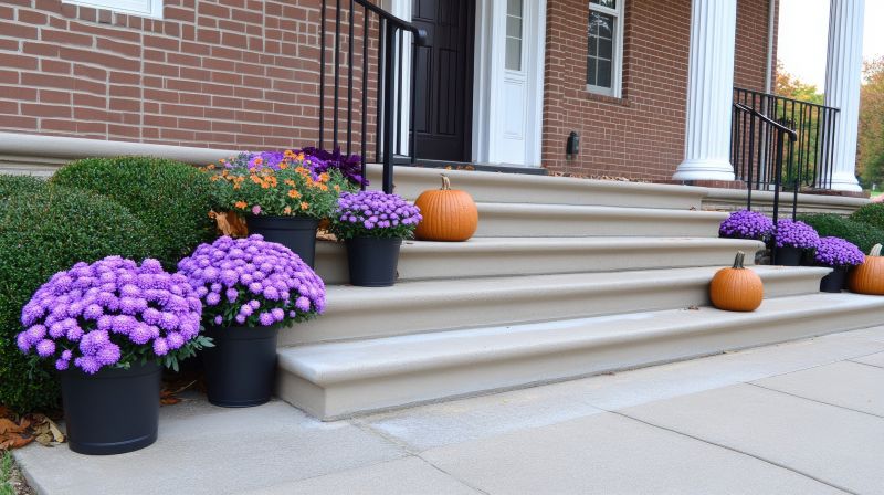 Sturdy steps provide secure footing and reduce the risk of falls